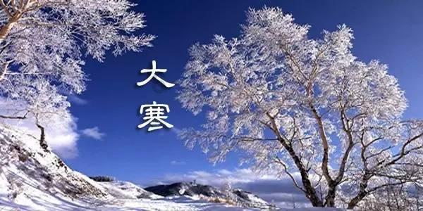 创作猫